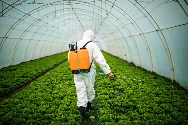 Best Pest Control Near Me  in India Hook, SC