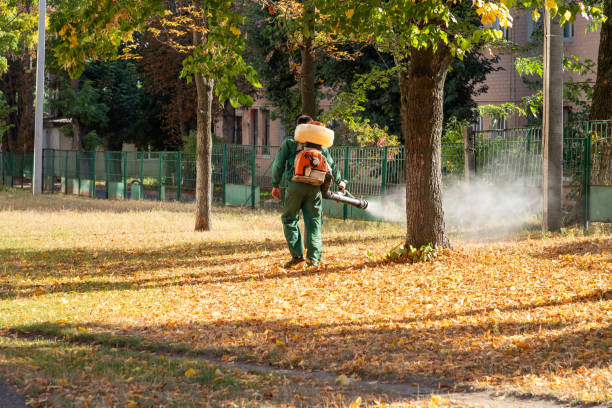Best Commercial Pest Control Services  in India Hook, SC
