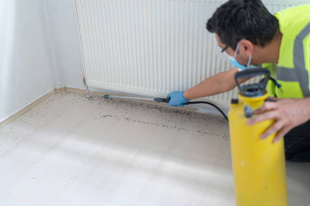 Trusted India Hook, SC Pest Control Experts